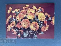 Carte Poștală Veche Felicitare - Bulgaria 1981