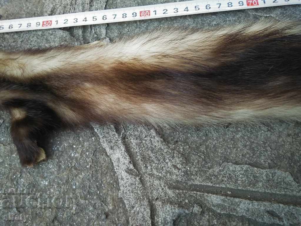 Τρόπαιο δέρμα από μικρό θηρευτή με τιμή 25.00 BGN | € 12.78