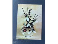 Old Postcard - Greeting Card - Bulgaria