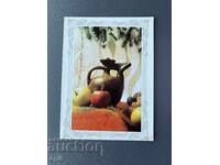 Old Postcard Greeting - Bulgaria 1986