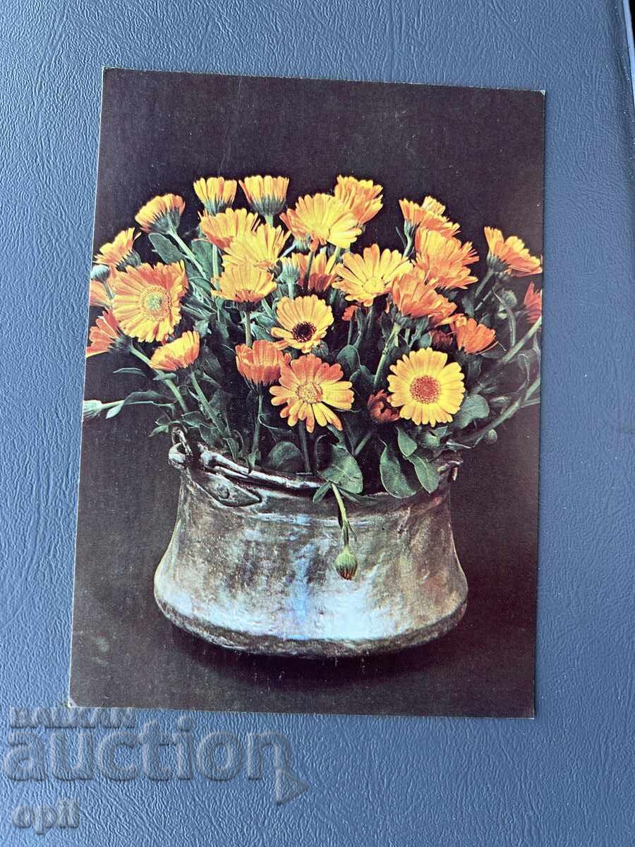 Old Postcard - Greeting Card - Bulgaria Old Postcard - Greeting Card - Bulgaria