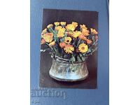 Old Postcard - Greeting Card - Bulgaria