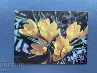 Carte poștală veche de felicitare - Bulgaria 1987