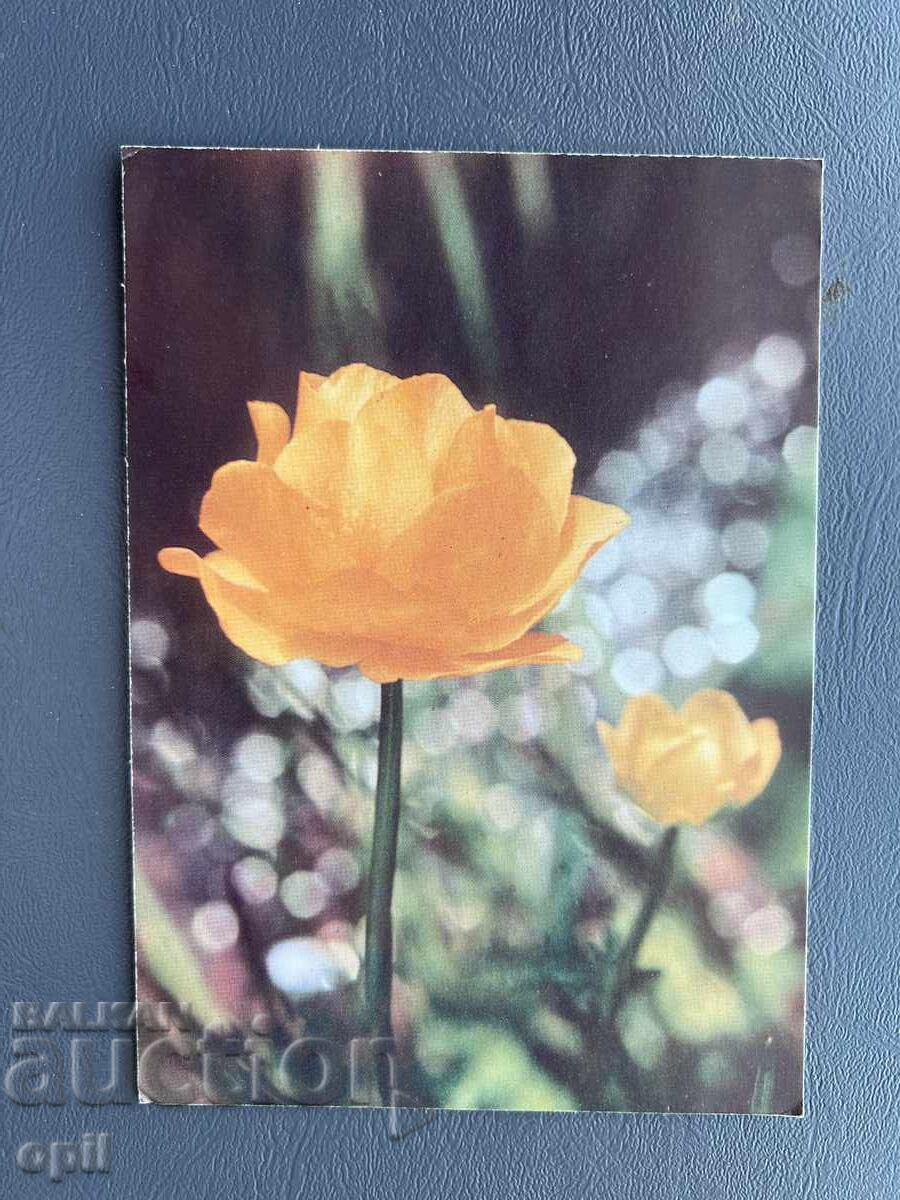 Old Postcard - Greeting Card - Bulgaria Old Postcard - Greeting Card - Bulgaria