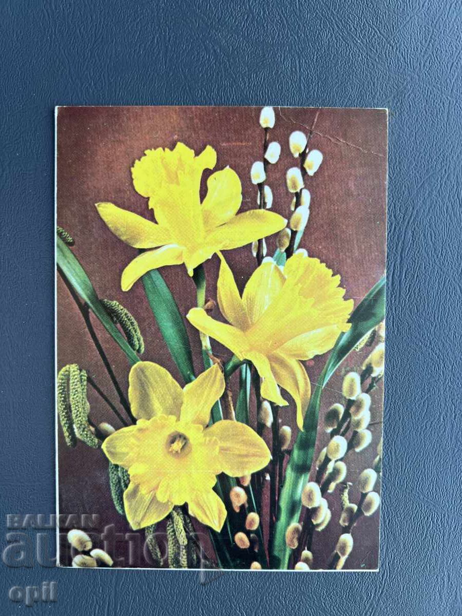 Old Postcard - Greeting Card - Bulgaria Old Postcard - Greeting Card - Bulgaria