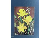 Old Postcard - Greeting Card - Bulgaria