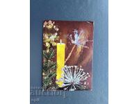 Old Postcard - Greeting Card - Bulgaria