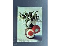 Old Postcard - Greeting Card - Bulgaria