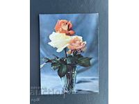 Old Postcard - Greeting Card - Bulgaria