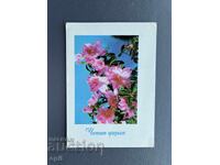 Old Postcard - Greeting Card - Bulgaria