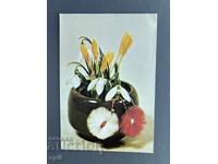 Old Postcard - Greeting Card - Bulgaria