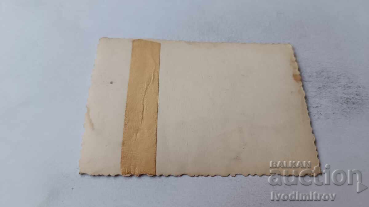 Photo Wolf dog breed with price 1.85 BGN | € 0.95