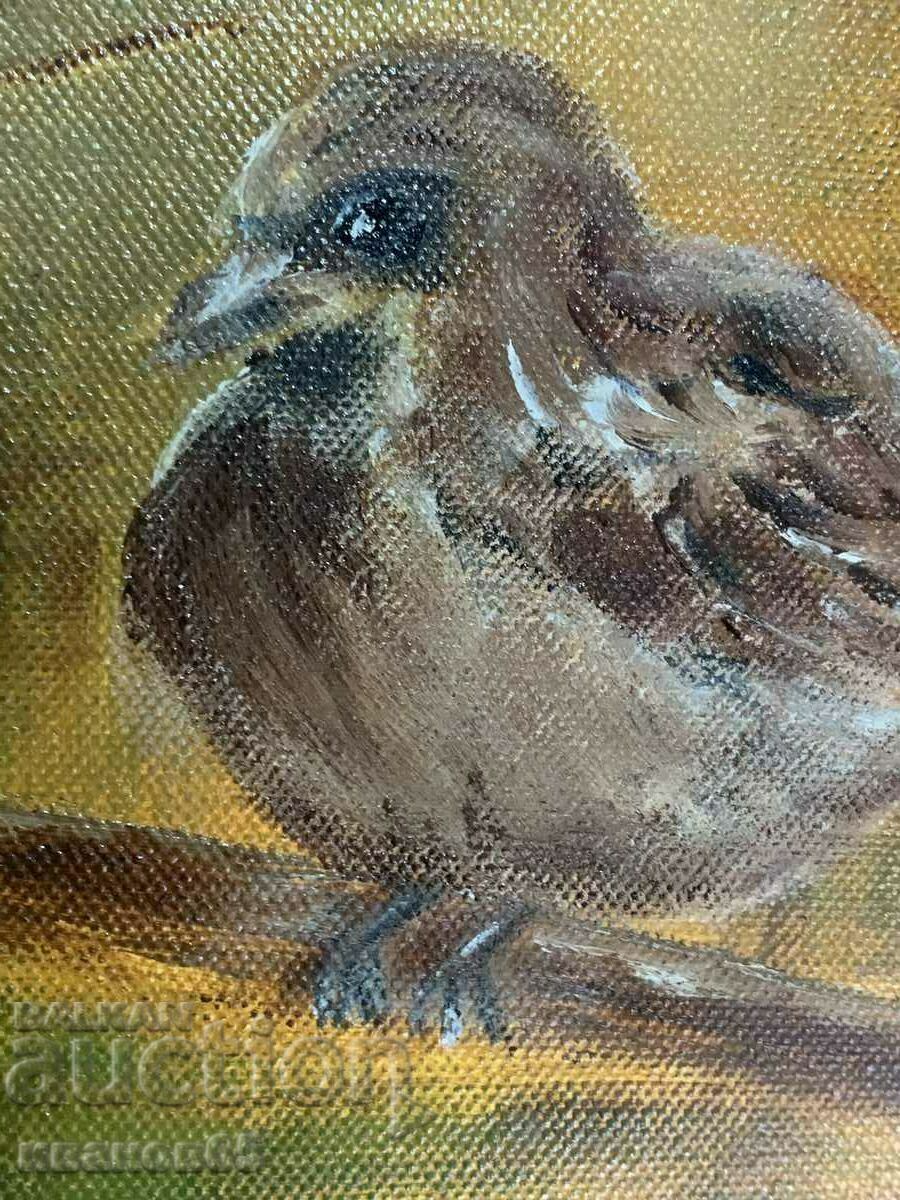 Livrarea poză cu pasăre Livrarea poză cu pasăre