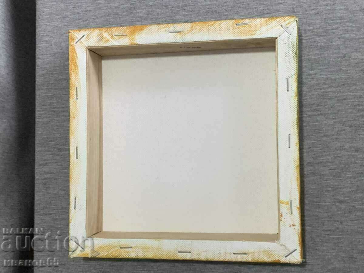 poză cu pasăre - 5 poză cu pasăre - 5