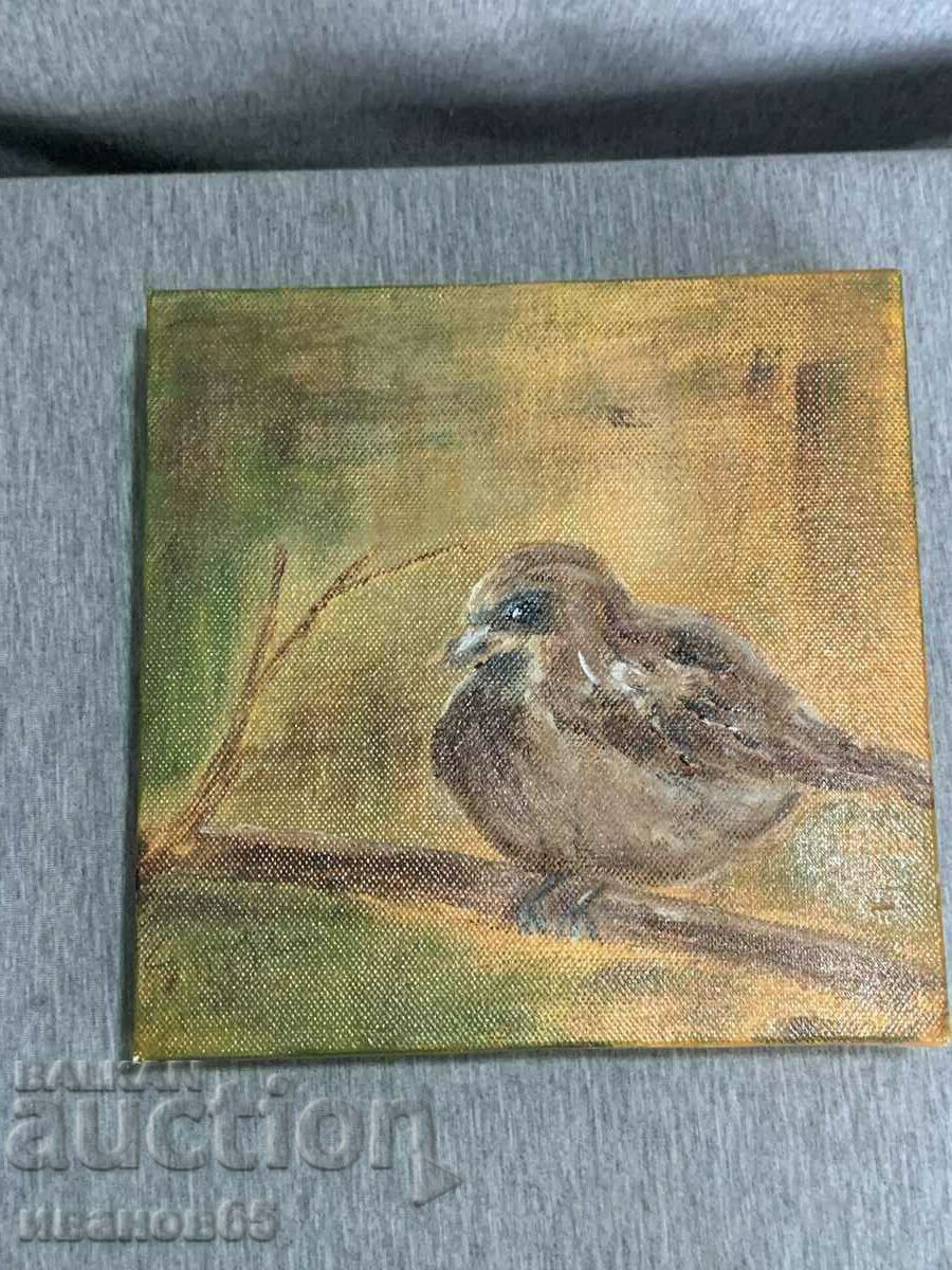 poză cu pasăre poză cu pasăre