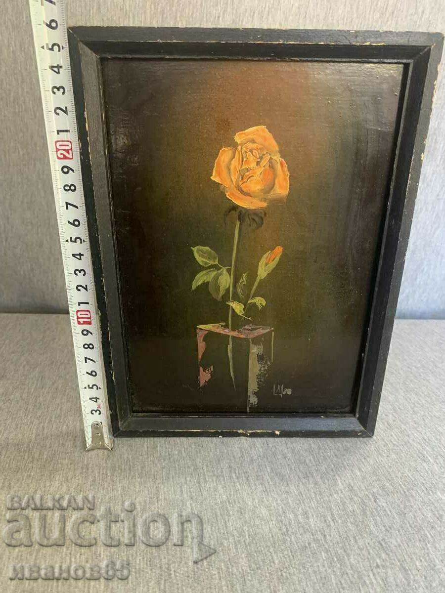 imagine - 5 imagine - 5