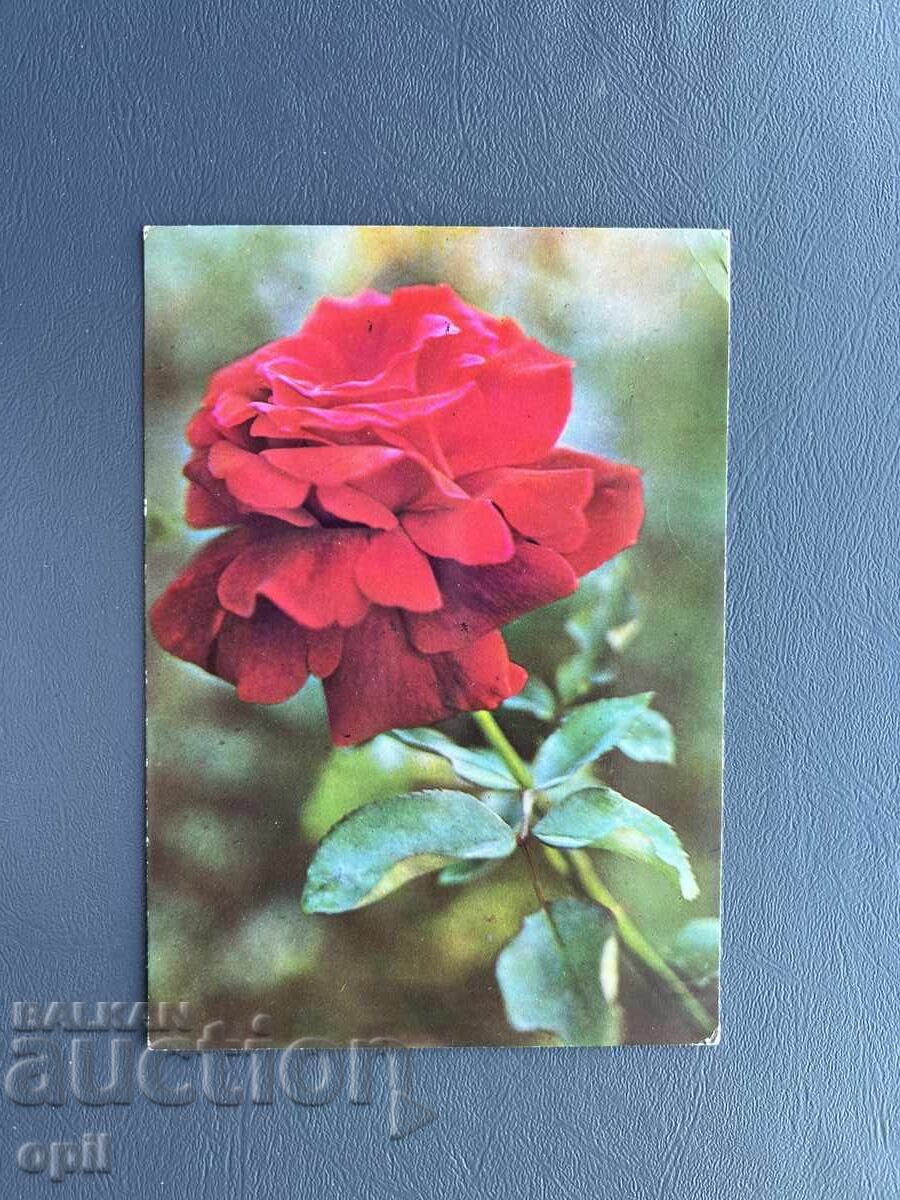 Παλιά Ευχετήρια Κάρτα - Βουλγαρία 1972