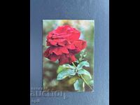 Παλιά Ευχετήρια Κάρτα - Βουλγαρία 1972