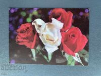 Стара Картичка  Поздравителна  - България