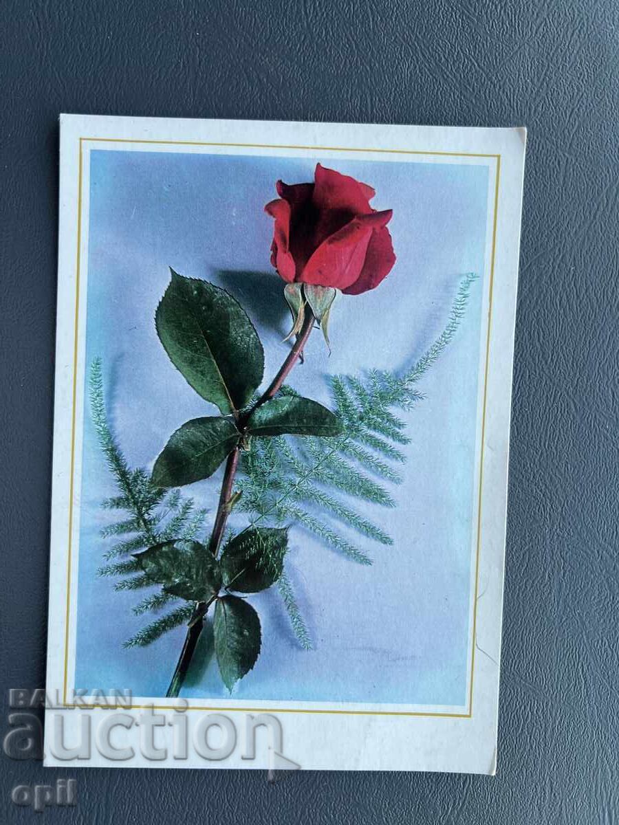 Стара Картичка Поздравителна - България Стара Картичка Поздравителна - България