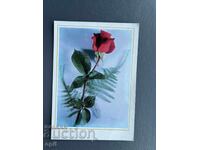 Стара Картичка  Поздравителна  - България