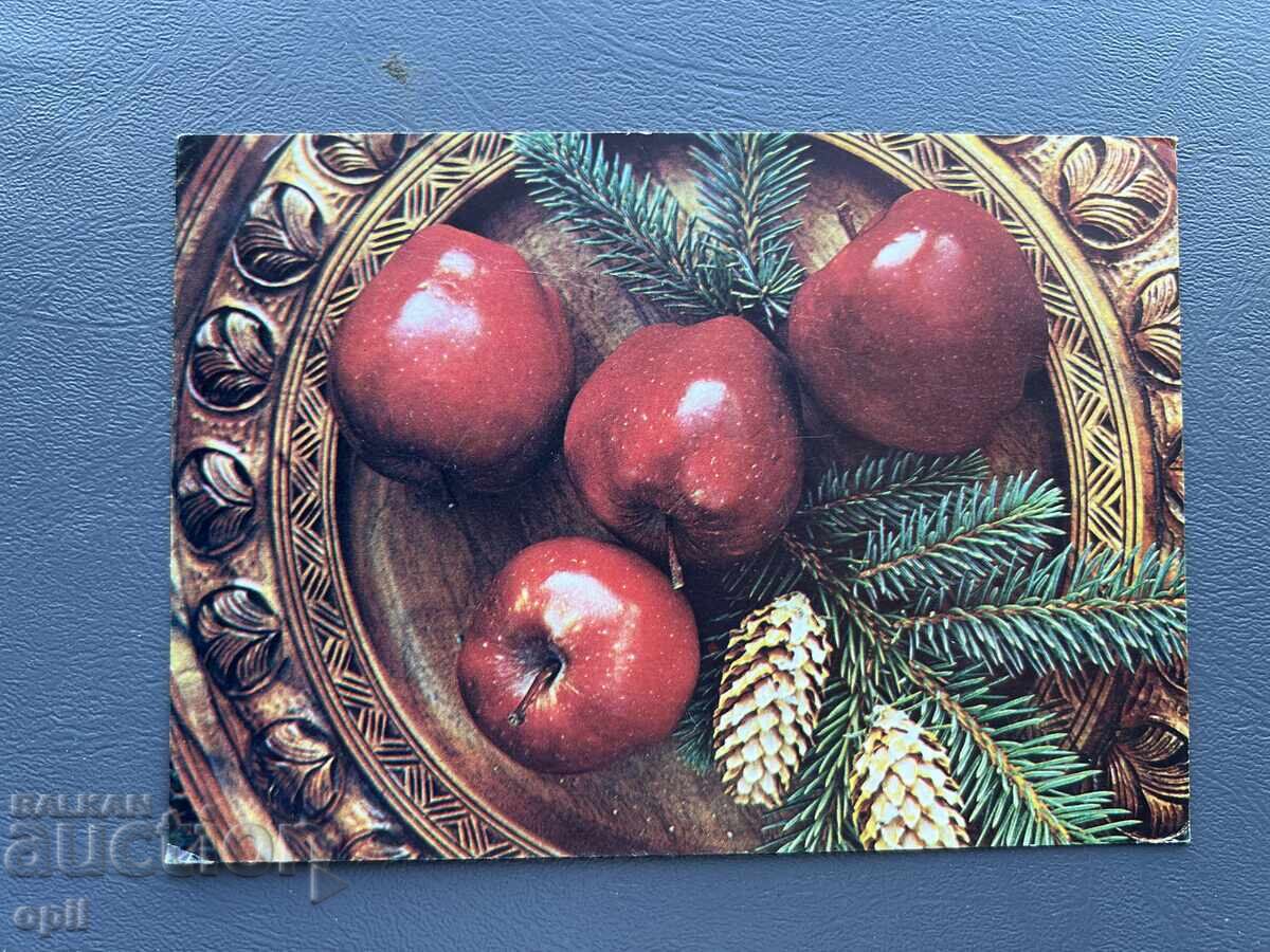 Стара Картичка  Поздравителна  - България 1983