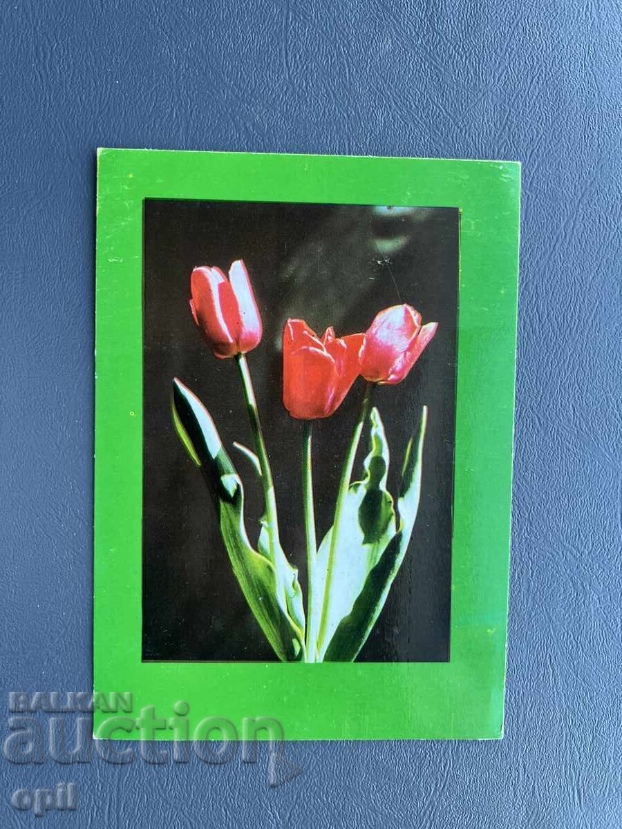 Стара Картичка Поздравителна - България Стара Картичка Поздравителна - България