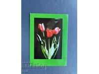 Стара Картичка  Поздравителна  - България