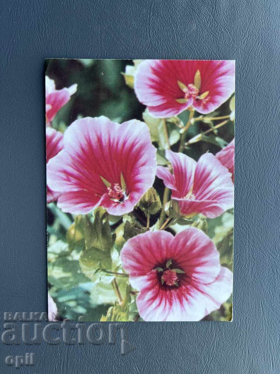 Old Postcard Greeting - Bulgaria 1980