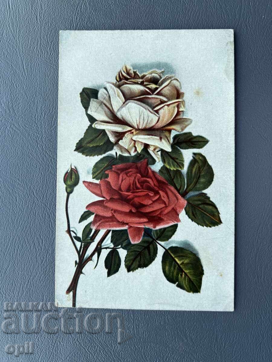 Carte poștală veche de felicitare - Bulgaria 1956 Carte poștală veche de felicitare - Bulgaria 1956