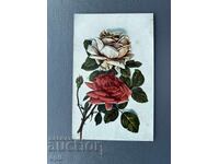 Παλιά Ευχετήρια Κάρτα - Βουλγαρία 1956