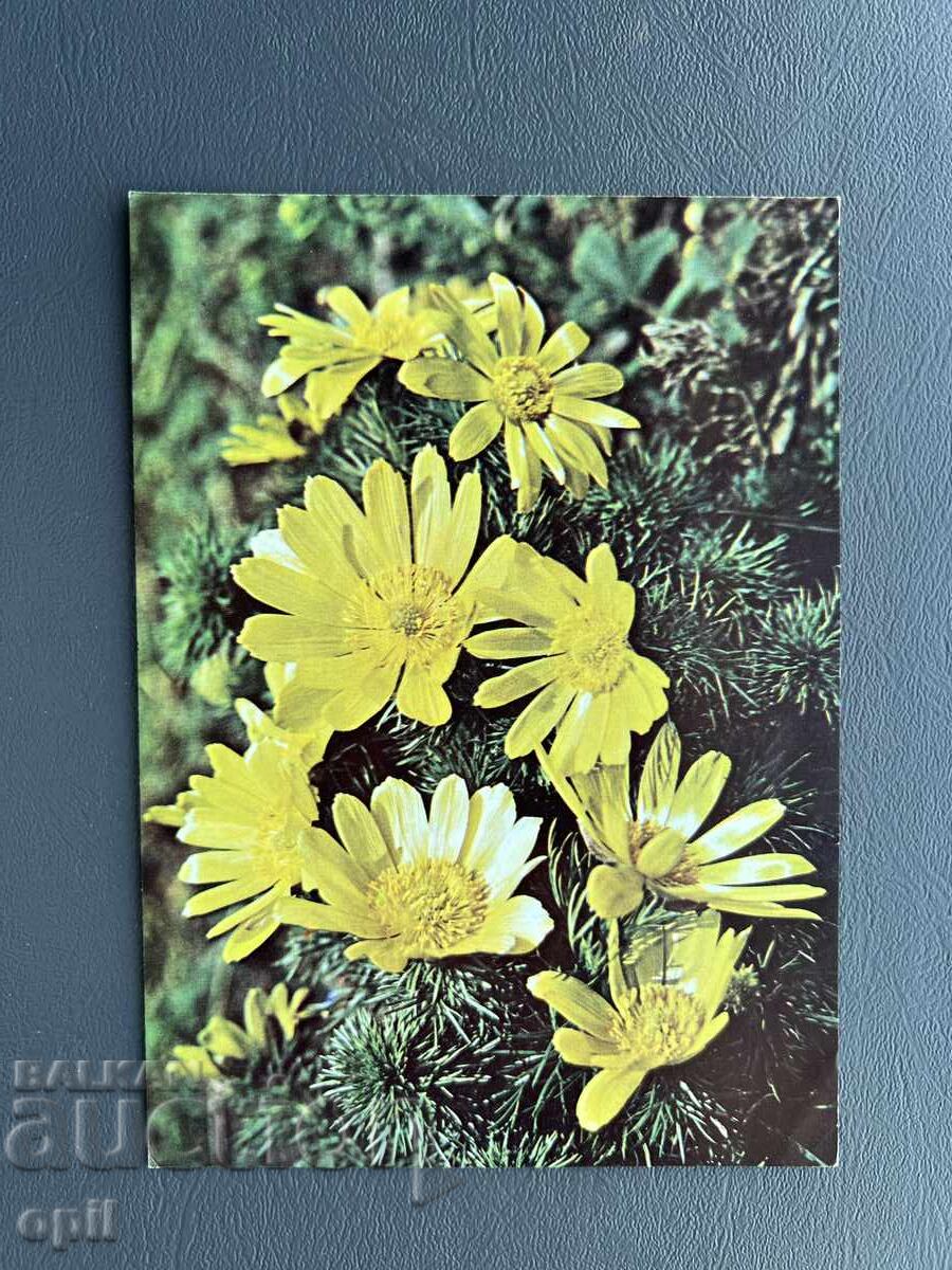 Стара Картичка Поздравителна - България Стара Картичка Поздравителна - България