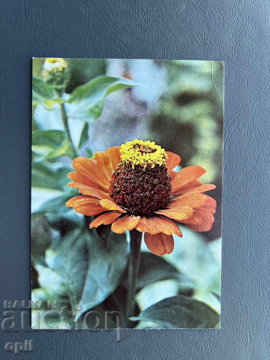 Old Postcard Greeting - Bulgaria 1980