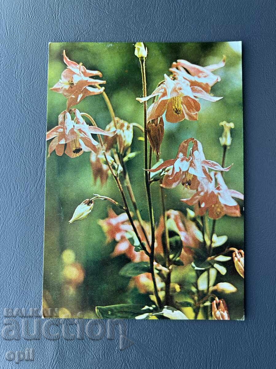 Стара Картичка Поздравителна - България Стара Картичка Поздравителна - България