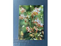 Παλιά Ευχετήρια Κάρτα - Βουλγαρία