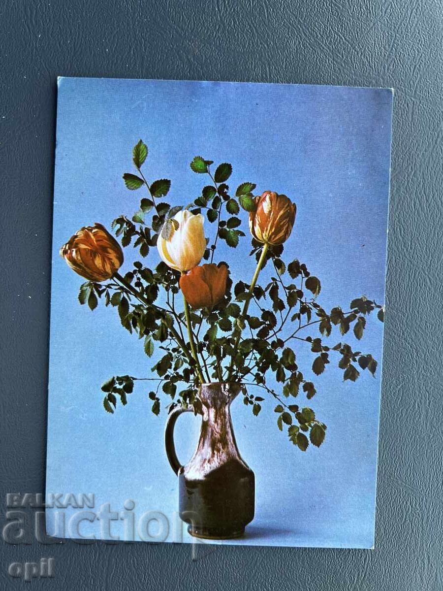 Old Postcard - Greeting Card - Bulgaria