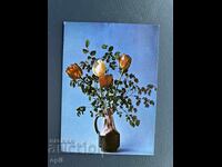 Old Postcard - Greeting Card - Bulgaria