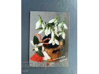 Old Postcard - Greeting Card - Bulgaria