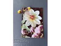 Old Postcard - Greeting Card - Bulgaria