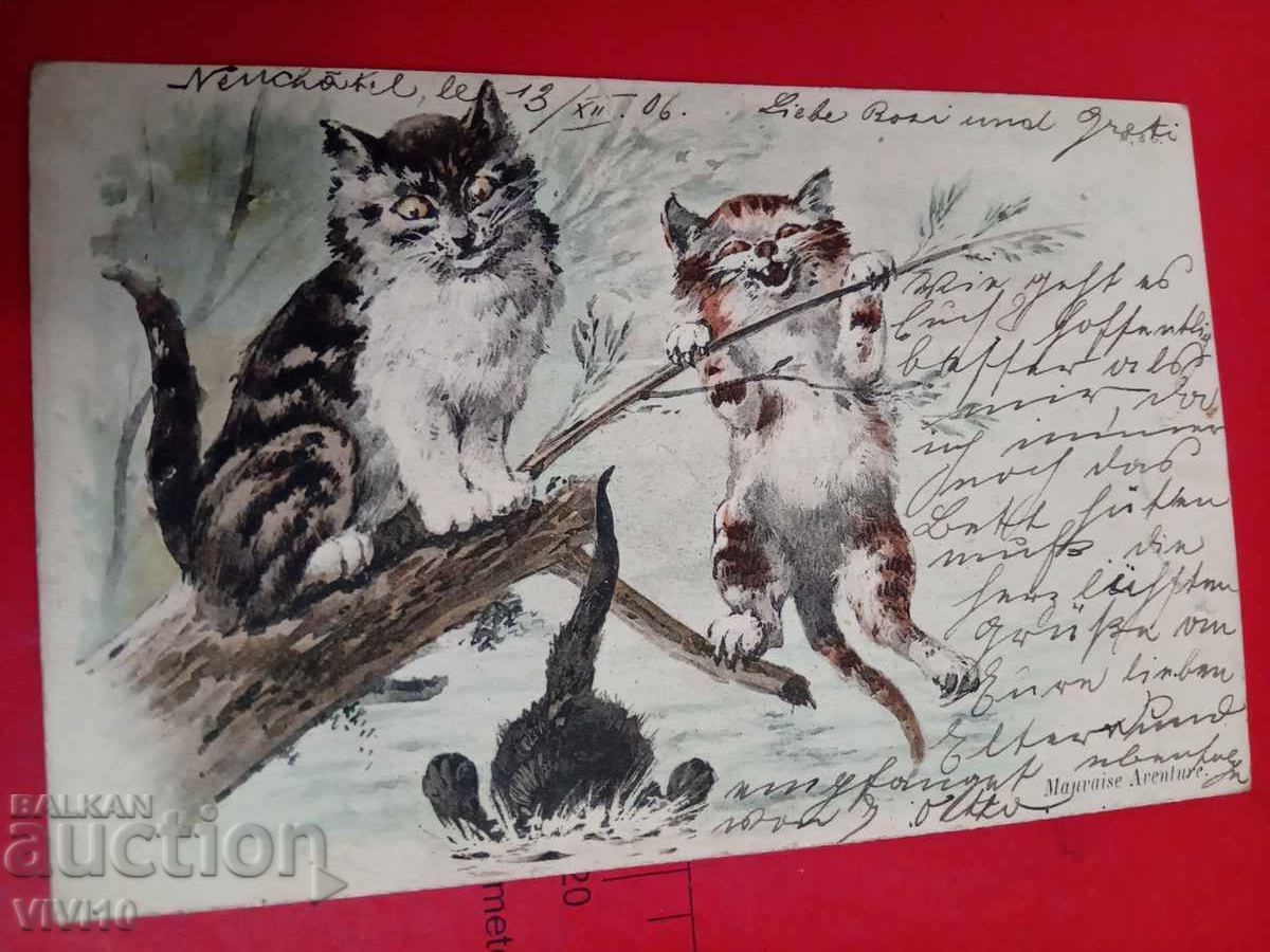 Antique Postcard 1906 Antique Postcard 1906