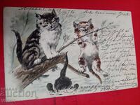 Antique Postcard 1906