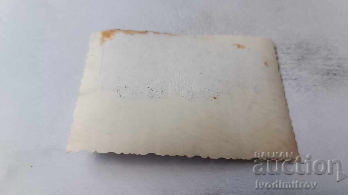 Φωτογραφία Λύκος ράτσας σκύλου με τιμή 1.85 BGN | € 0.95