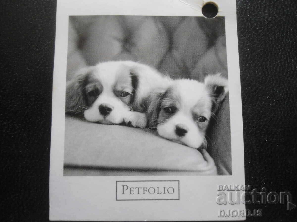 Greeting card Greeting card