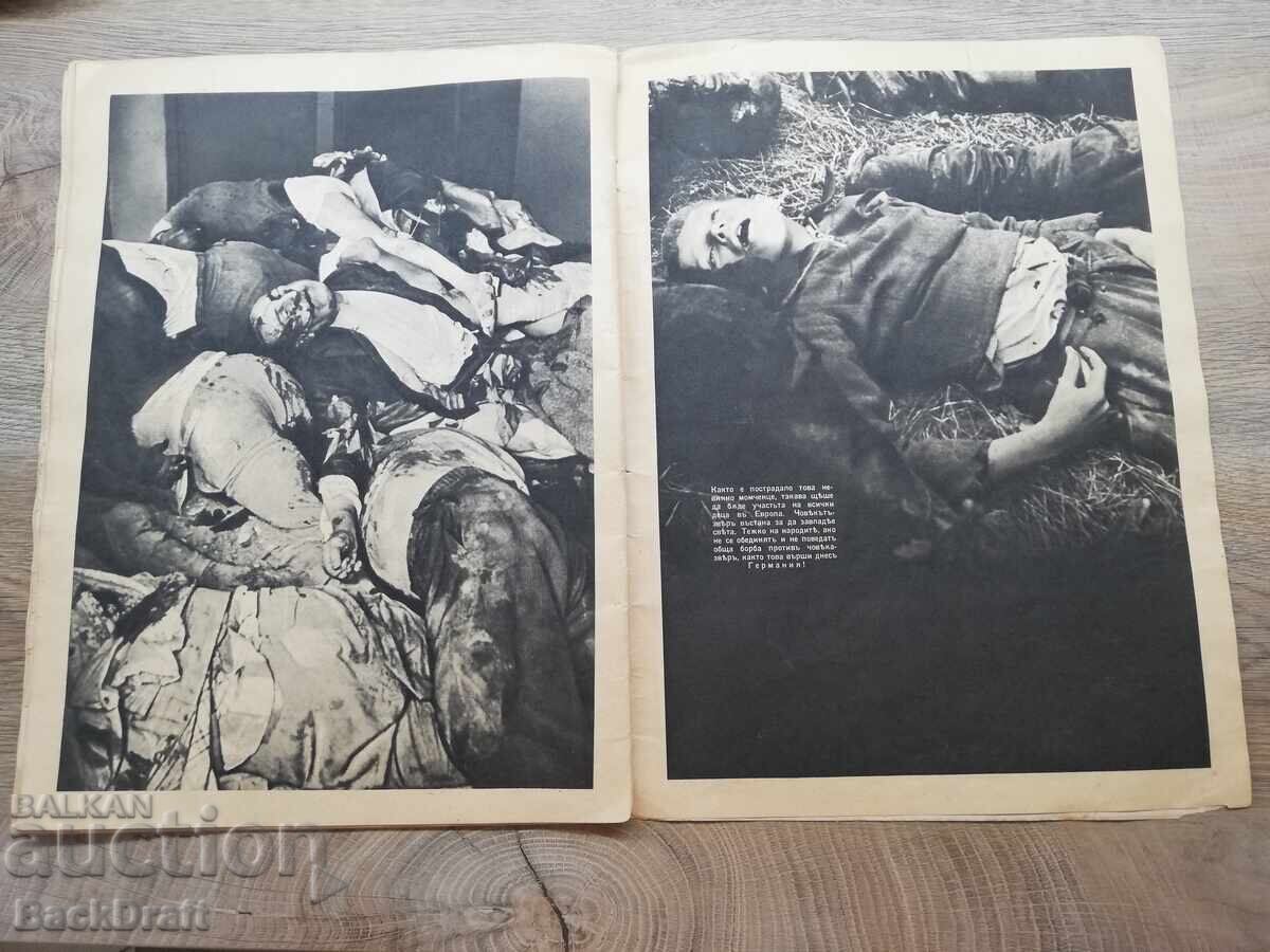 WWII Magazine The Beast Man Nazi Propaganda H. Himmler - 6