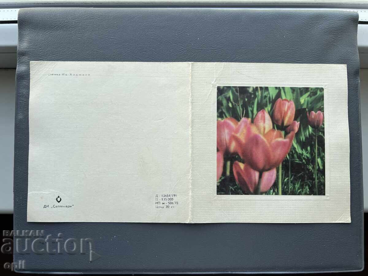 Стара Картичка Поздравителна - България 1981 Стара Картичка Поздравителна - България 1981