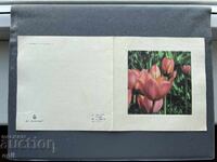 Carte Poștală Veche Felicitare - Bulgaria 1981