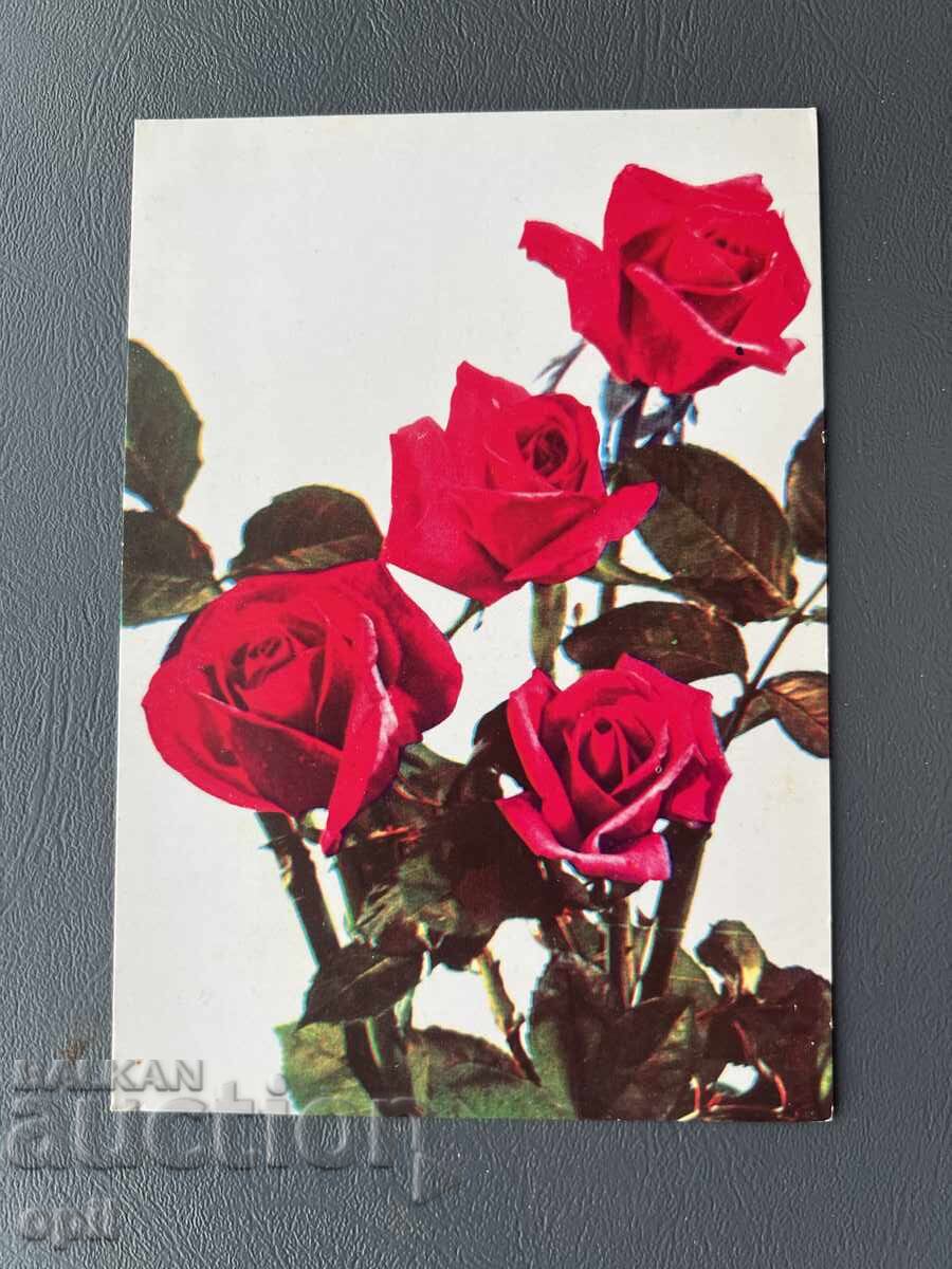 Παλιά Κάρτα - Ιράκ