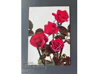 Παλιά Κάρτα - Ιράκ