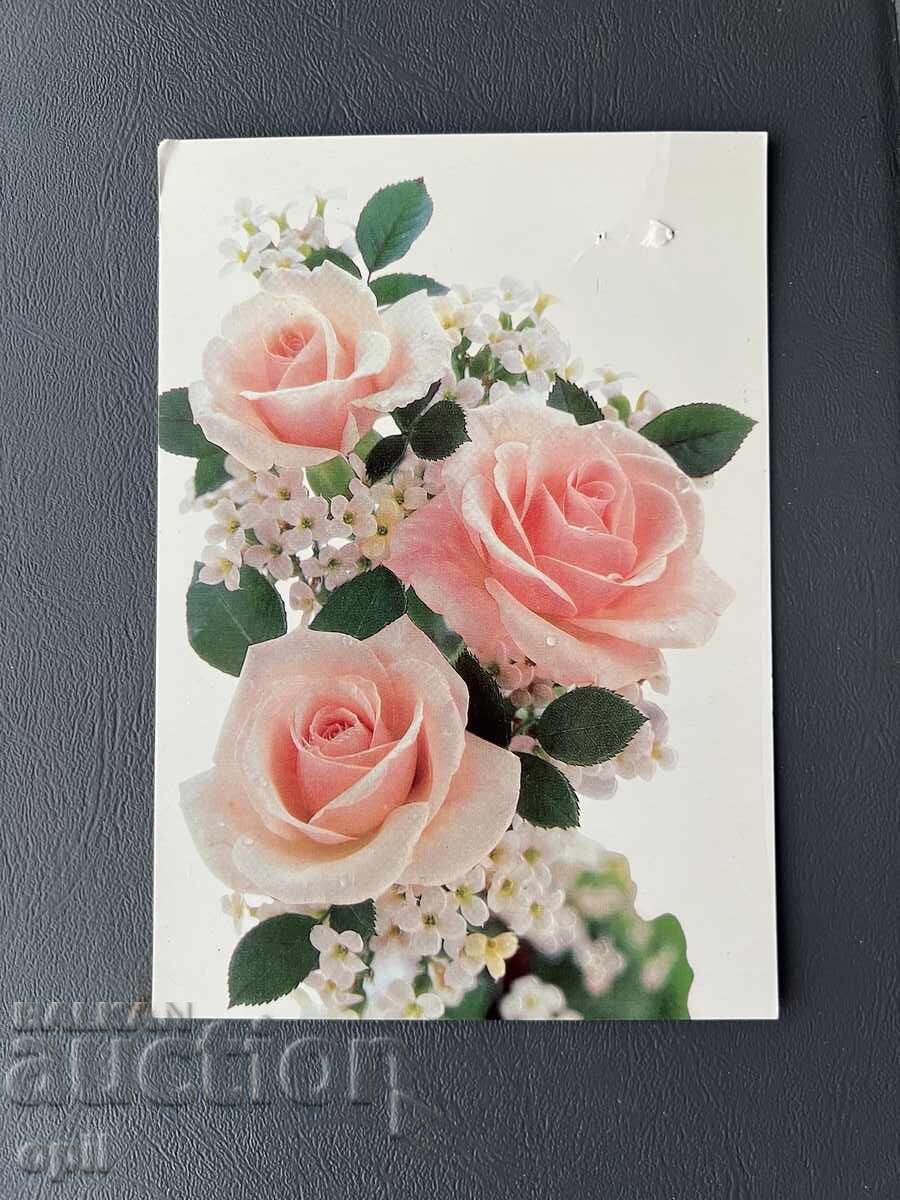 Παλιά Κάρτα - Τουρκία