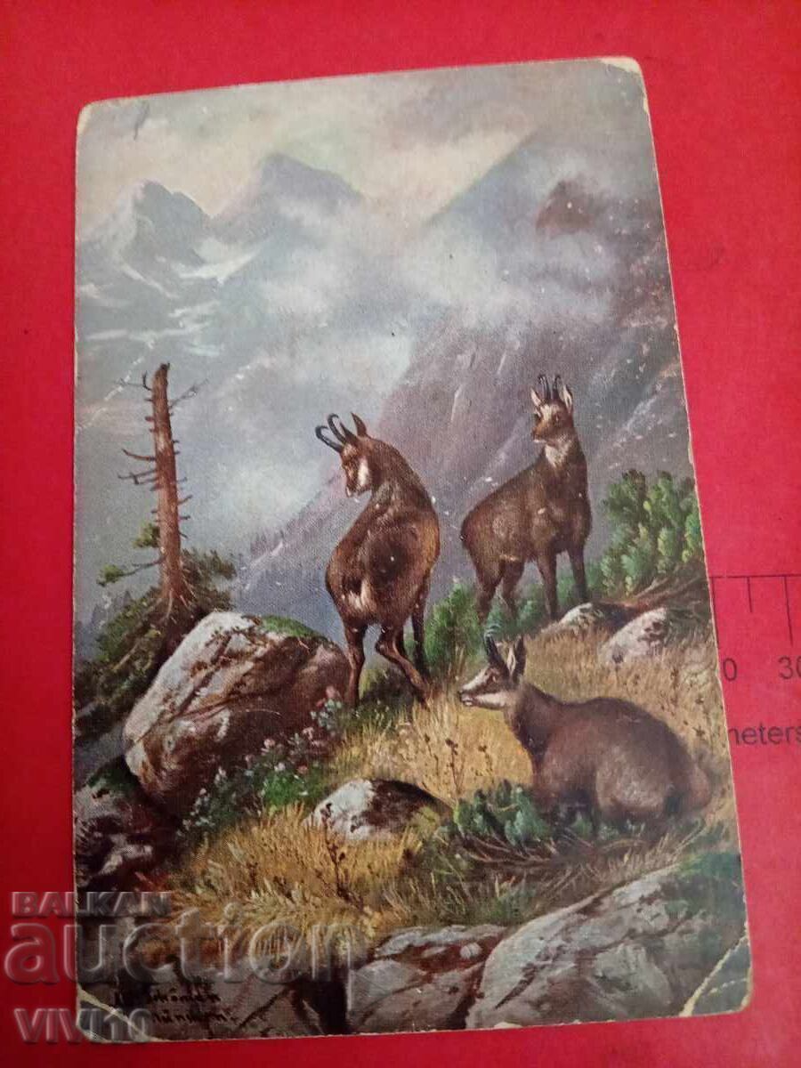 Старинна пощенска картичка 1917г